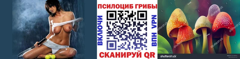 Псилоцибиновые грибы GOLDEN TEACHER  Купить где  Тимашёвск 