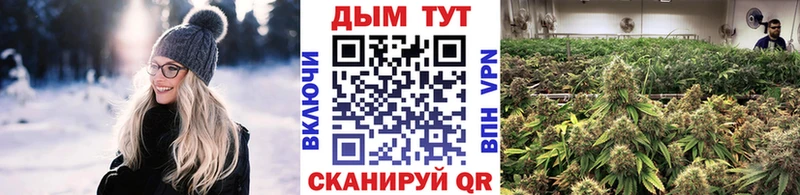 Купить где  Тимашёвск  Канабис THC 21% 